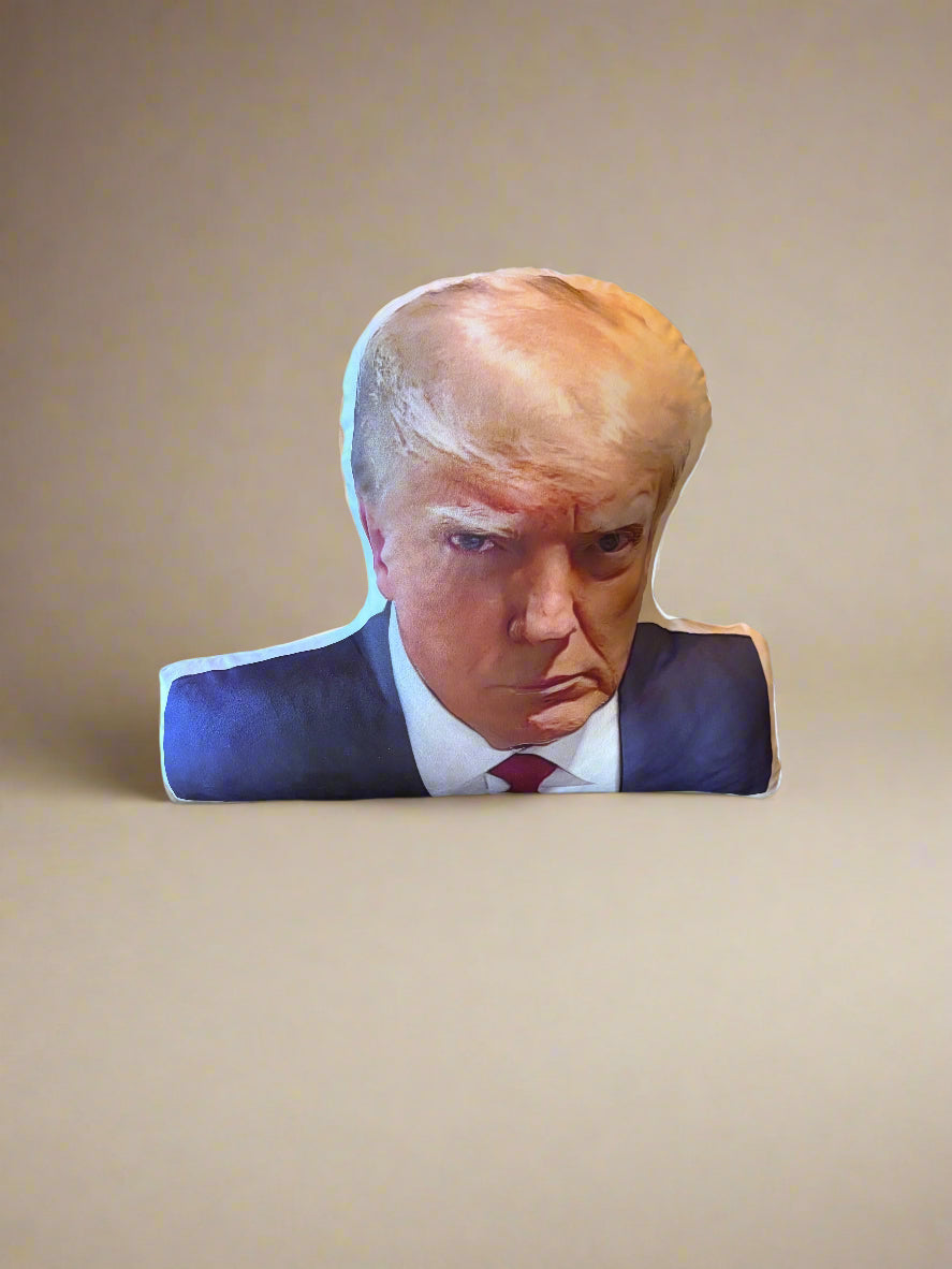 Trump Mugshot Pillow